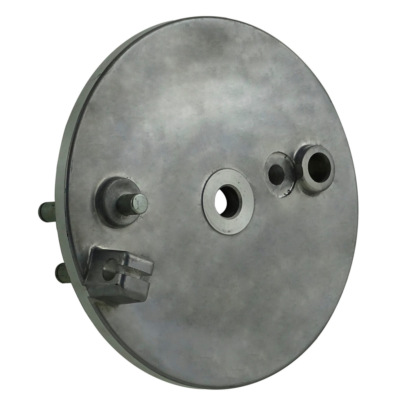 Bremsschild hinten, natur, mit Loch f. Bremskontakt - Vogelserie